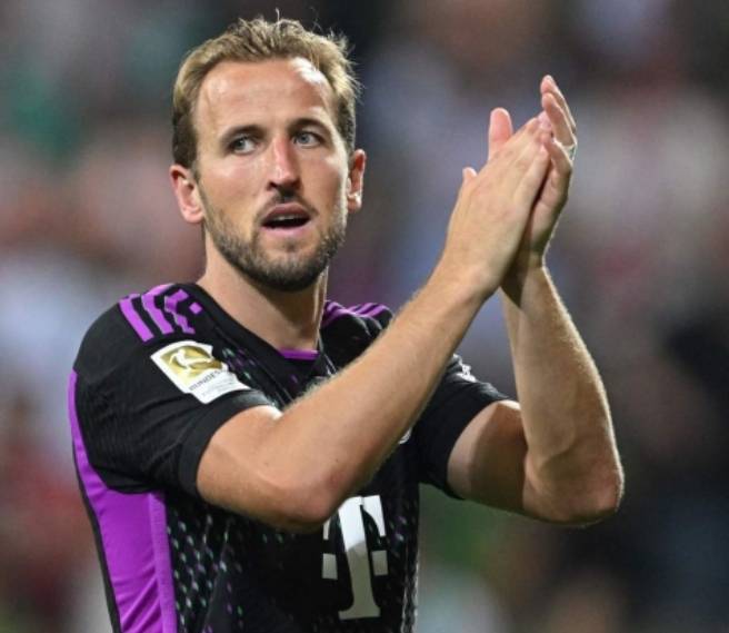 入新的活力 入新的活力